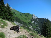 Švýcarsko - CH