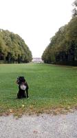 Chiemsee - DE