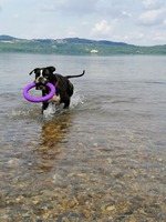 2019 - Berzdorfersee - DE