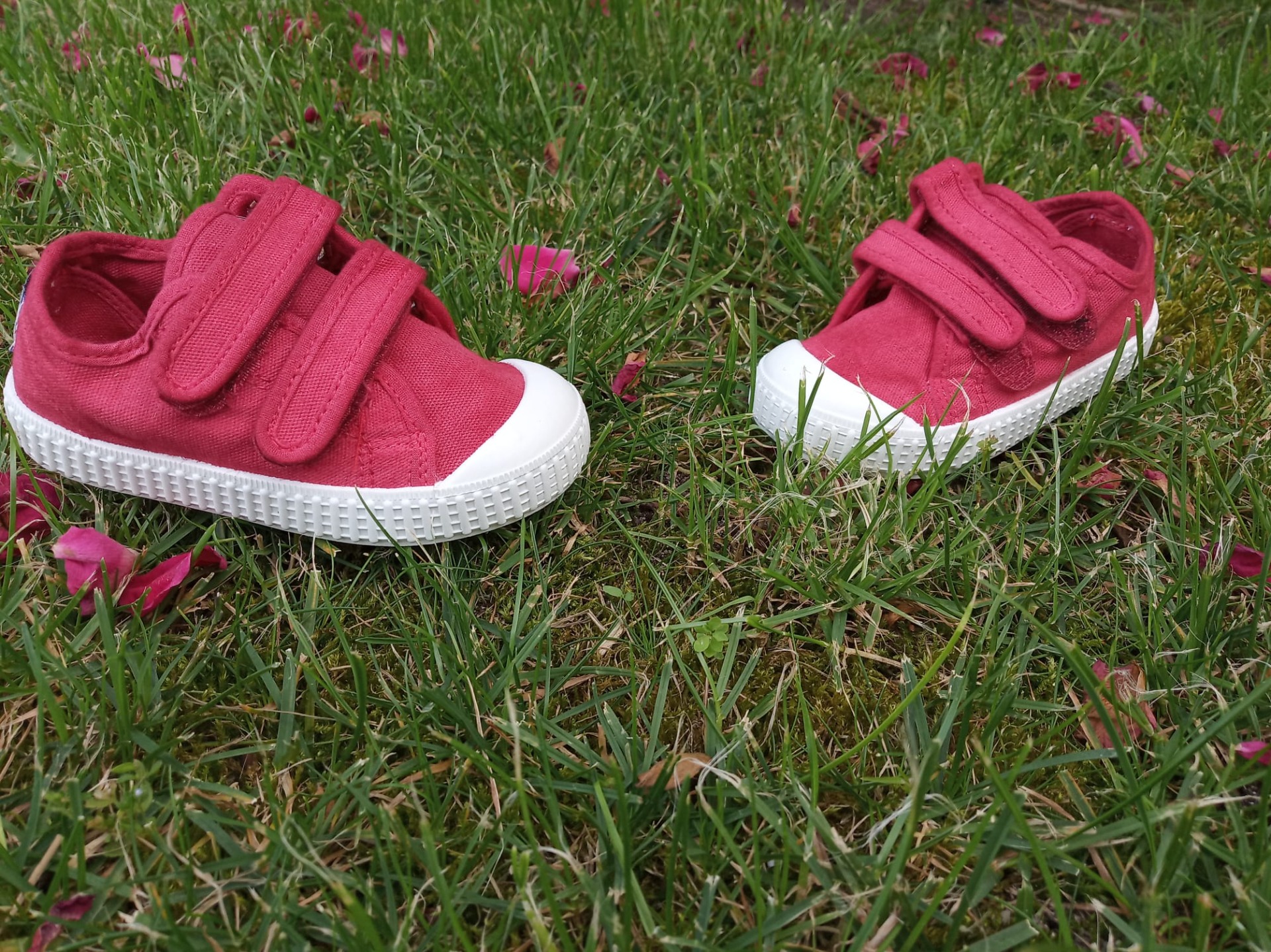 Zapatillas de Lona velcro Zapy