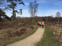Zondagochtend bosloop