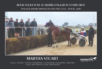 The Diva - Westport Trotting Club
