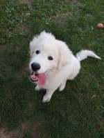 Charlie