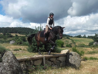 DERBY CROSS