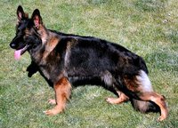 Barclay