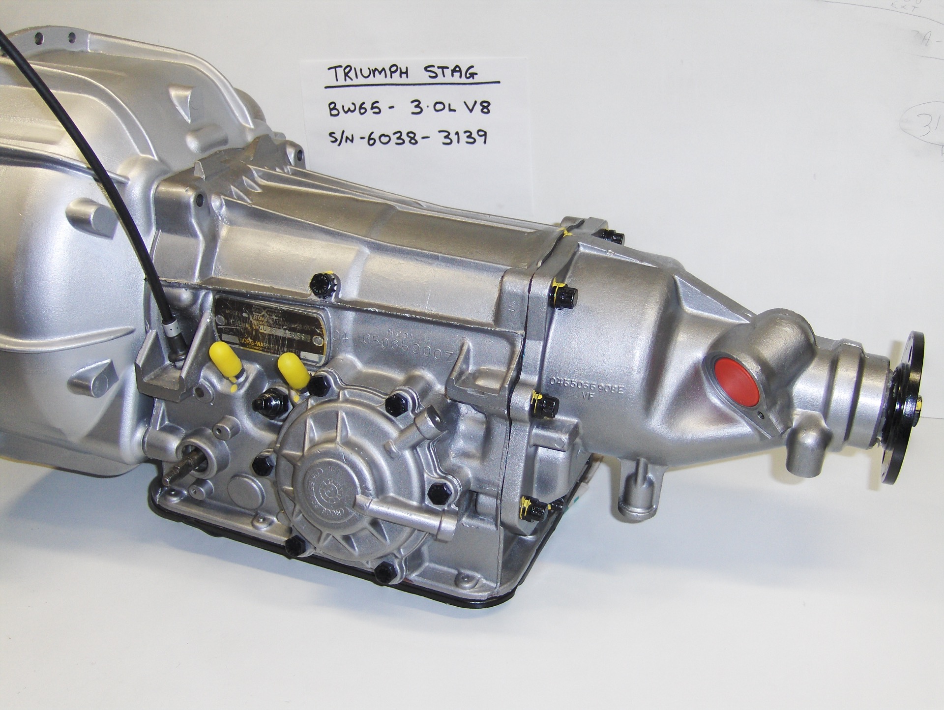 WARNER TRANSMISSION SPECIALST