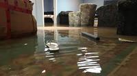 Flood & Water Restoration