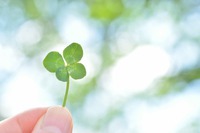 Foto: Adobe Stock