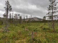 Äkäslompolo, Ylläs