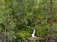 Varkaankurunpolku