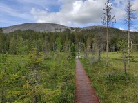 Pyöräretkellä Kesänkijärven laavulle