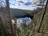 Pakasaivo