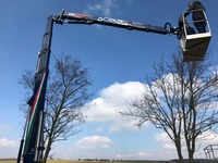 Cela DT 25