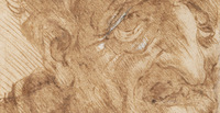 Leonardo da Vinci, Vecchio