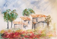 Tiziana Sartorati, Campagna Veneta, 2019