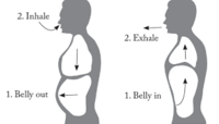 https://www.neurohealthchiro.com.au/posture-effects-breathing/#prettyPhoto