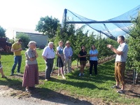 Genussvolle Weinviertler Produkte warten darauf, verkostet zu werden“, Co. Region Weinviertel-Manhartsberg