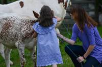 Just loving on a 4-H heifer. photo creds :R. Hladik