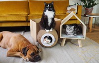 The whole furfamily