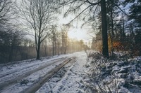 Zdroj: Unsplash, Thom Holmes