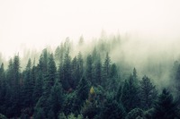 Zdroj: Unsplash, Jay Mantri