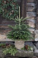 Zdroj: Pinterest