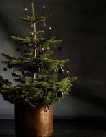 Zdroj: Pinterest