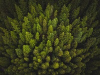 Zdroj: Unsplash, Spencer Watson