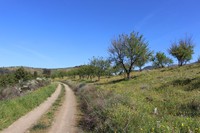 Impression von der Wanderung im Dourotal