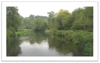 The River Avon in the Woodford Valley