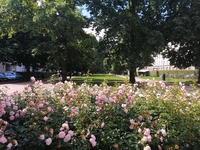 Hesperian Esplanadi