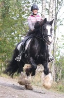 Alako