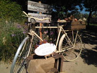 BICICLETAS