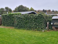 De sauna in onze tuin, beschut en privé