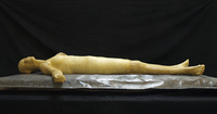 col tempo, 2009, cera e piombo, cm 210x130x30cm