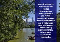 Comprender estas relaciones resultan útiles para acotar las distancias entre las personas y la naturaleza que las ciudades han anulado.