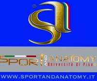 SPORT AND ANATOMY UNIVERSITA' DI PISA