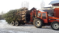 Vallu viemässä energiapuuta kasalle