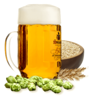 Pivo