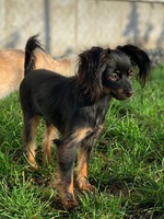 Charlie