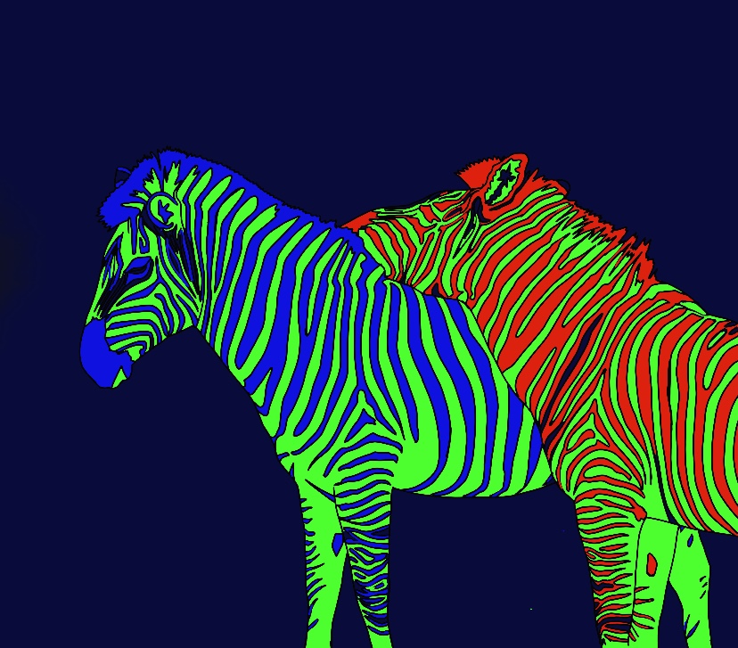 Neon Zebras Sami Yaffa