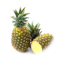 Ananas comosus
