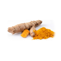 Curcuma longa