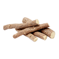 Glycyrrhiza glabra