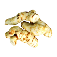 Alpinia officinarum