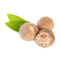 Myristica fragrans