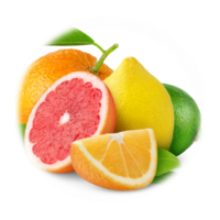 Citrusové plody