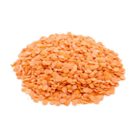 Lens culinaris