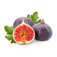 Ficus carica