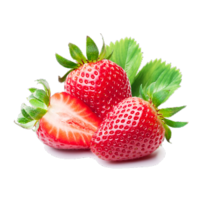 Fragria vesca